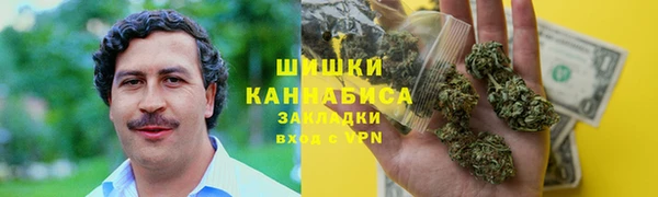 дурь Пестово