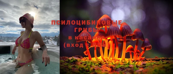 мяу мяу кристалл Алексин