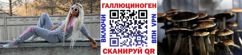 где продают shop состав Галлюциногенные грибы Psilocybine cubensis Жуковский